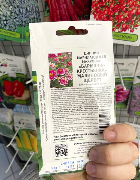 цинния махровая Малиновый щербет